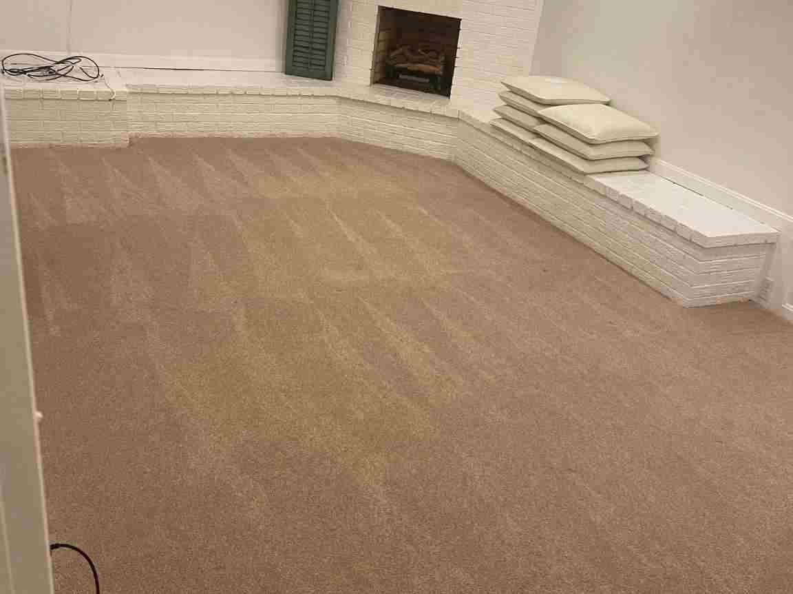 Maid's House Cleaning