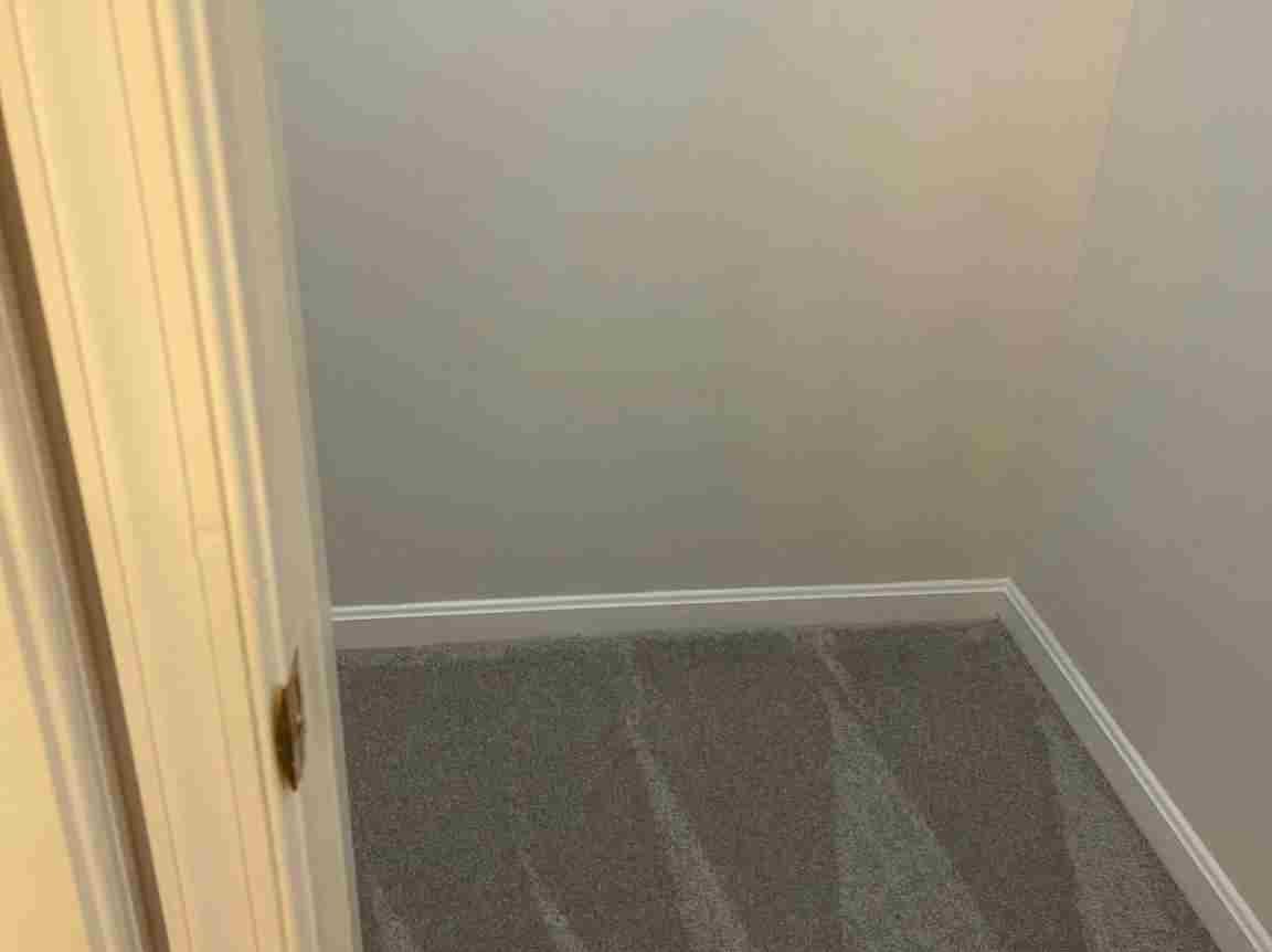 Maid's House Cleaning