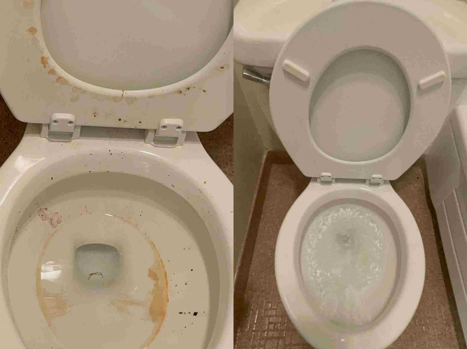 Maid's House Cleaning