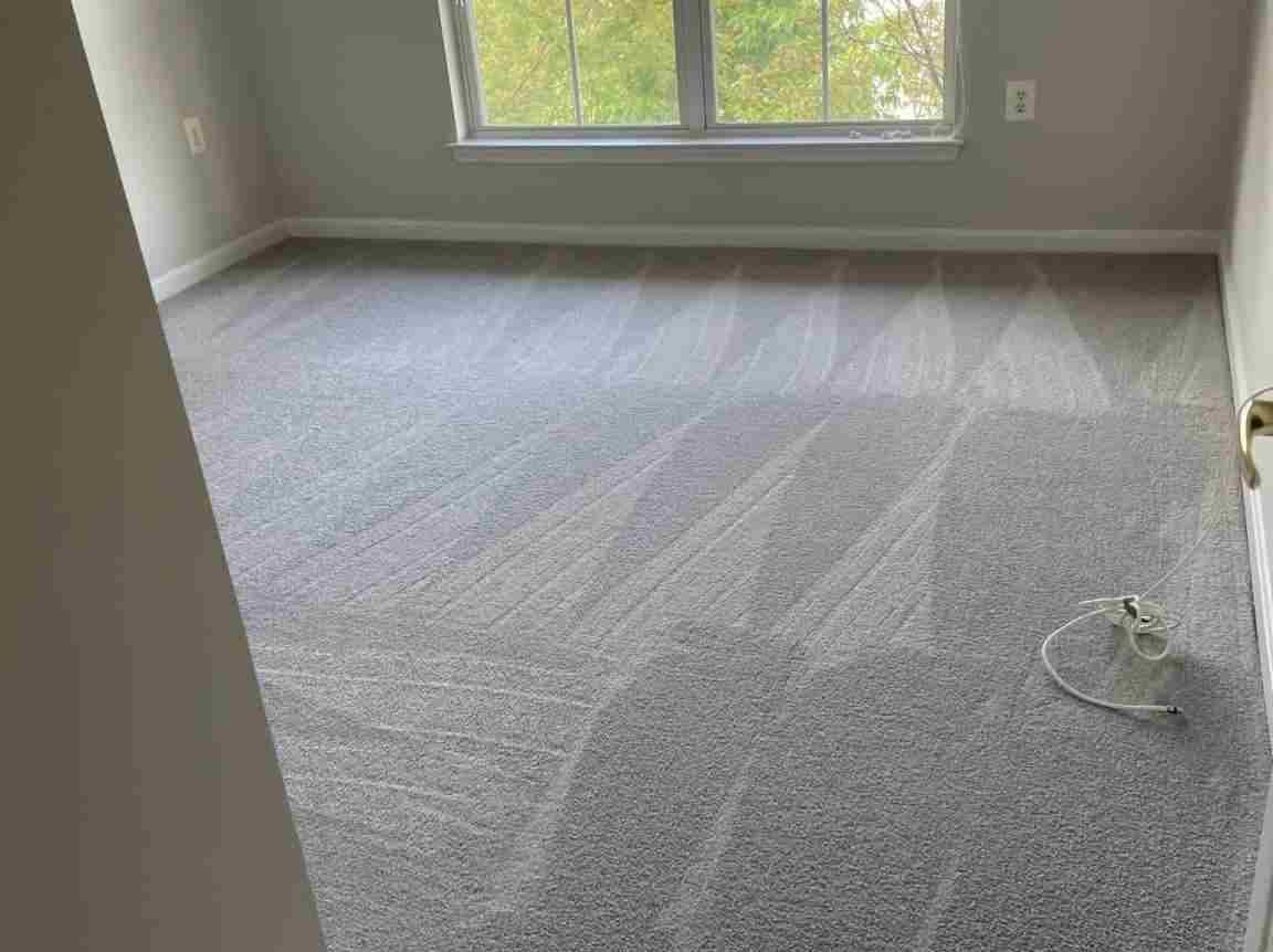 Maid's House Cleaning