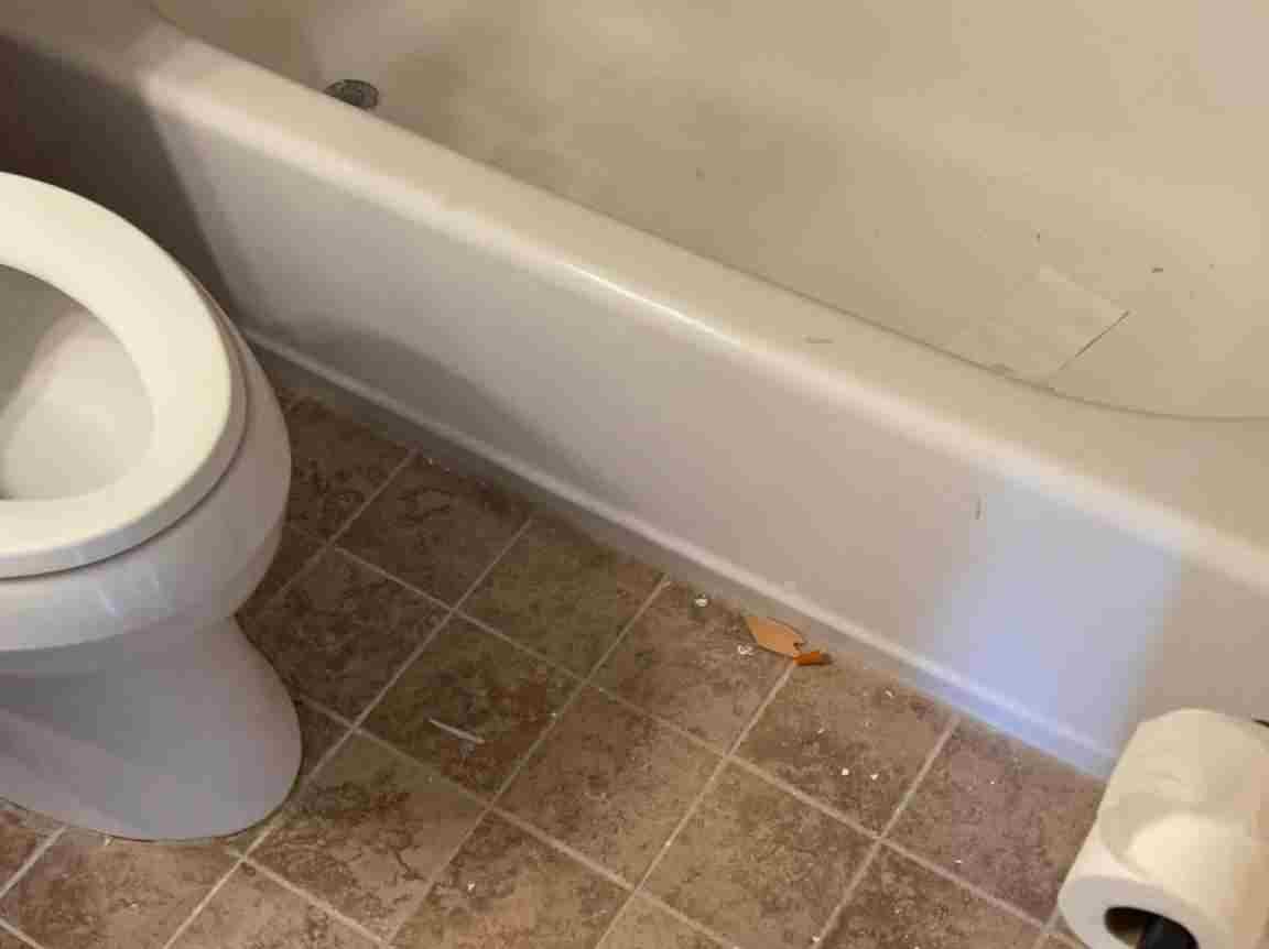 Maid's House Cleaning