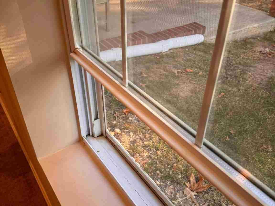 Maid's House Cleaning