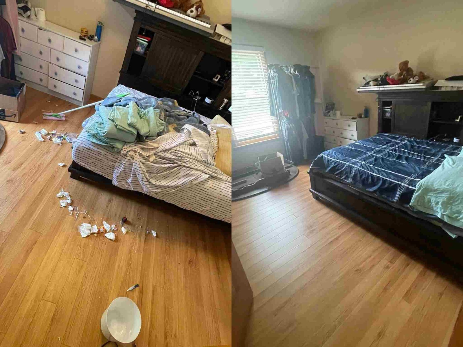 Maid's House Cleaning