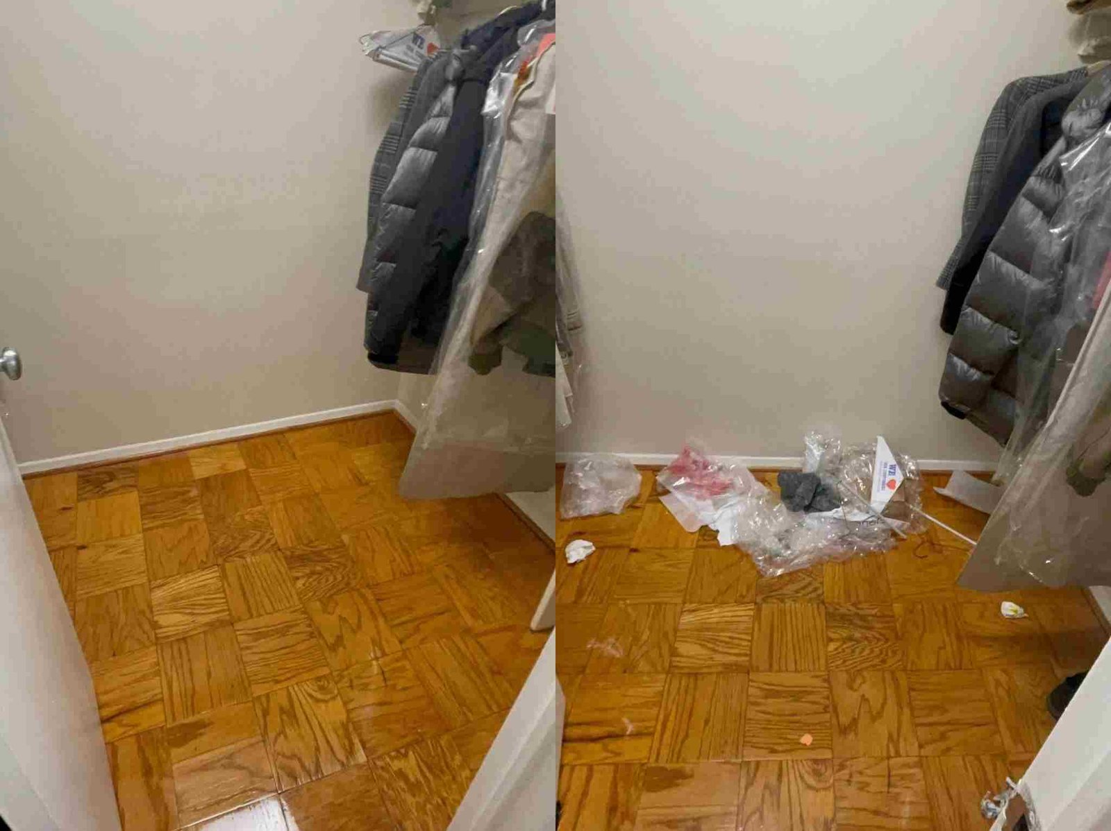 Maid's House Cleaning