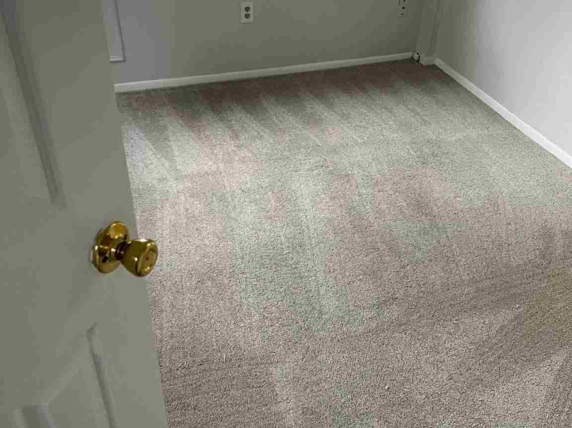 Maid's House Cleaning